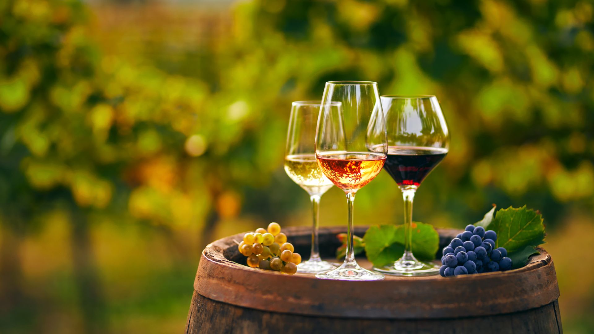 3 Glasses of wine: Red, white, rose
